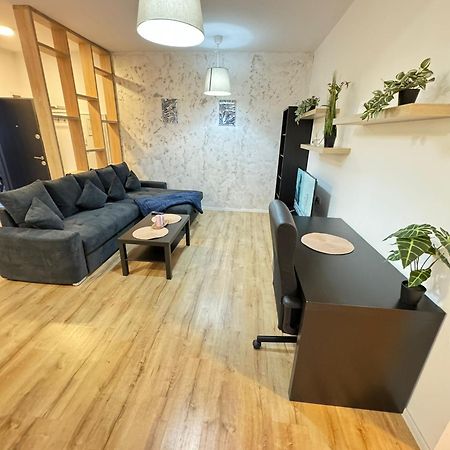 Glam Apartments Lipatti Near Iulius Mall And City Center Temešvár Exteriér fotografie